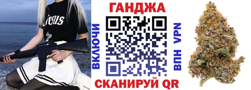 Конопля сатива  Афипский 
